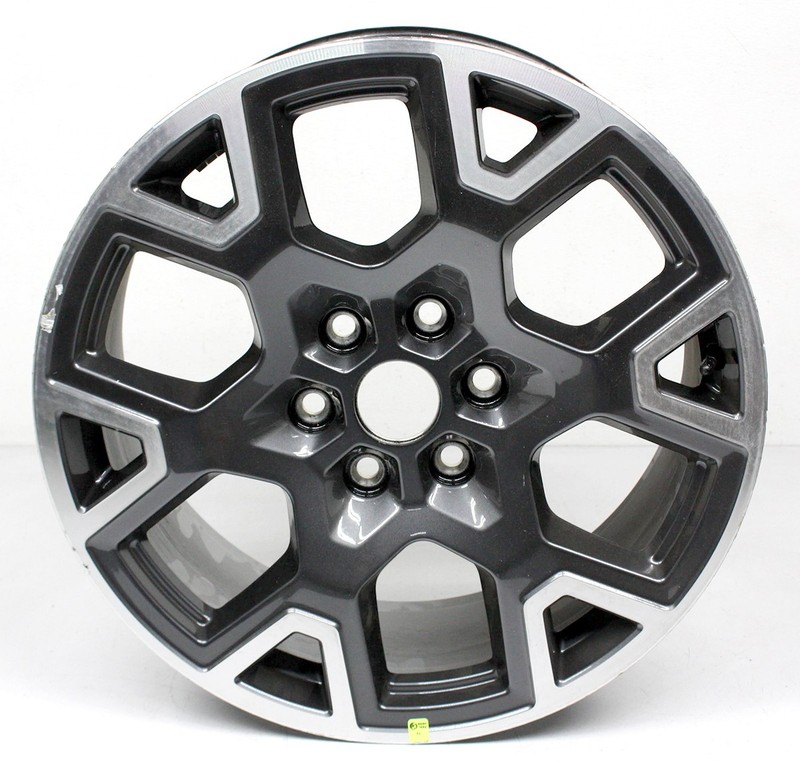 OEM 20 Inch Alloy Wheel Gray RL34-1007-HA For Ford F150