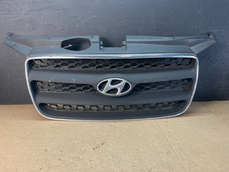 2007 to 2009 Hyundai Santa Fe Front Upper Grill Grille OEM AD5516DG