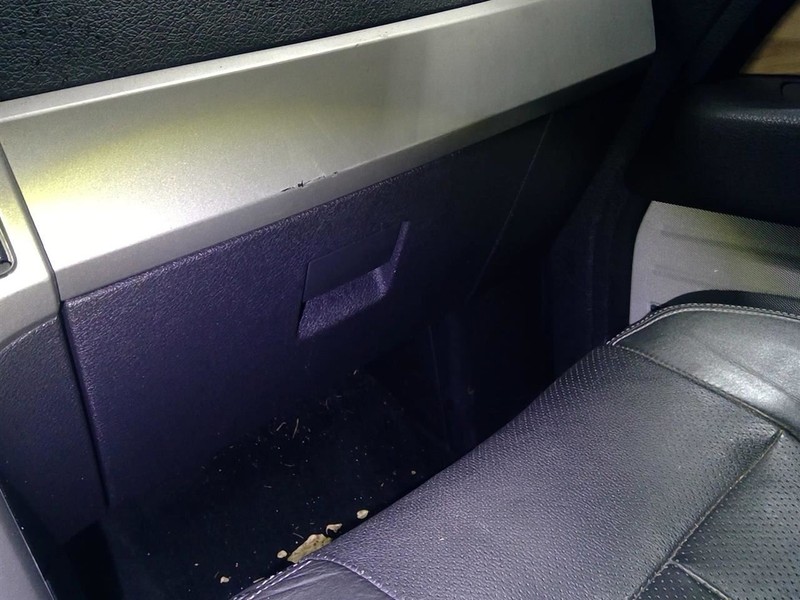 F150 2009-2014 Glove Box 1721537