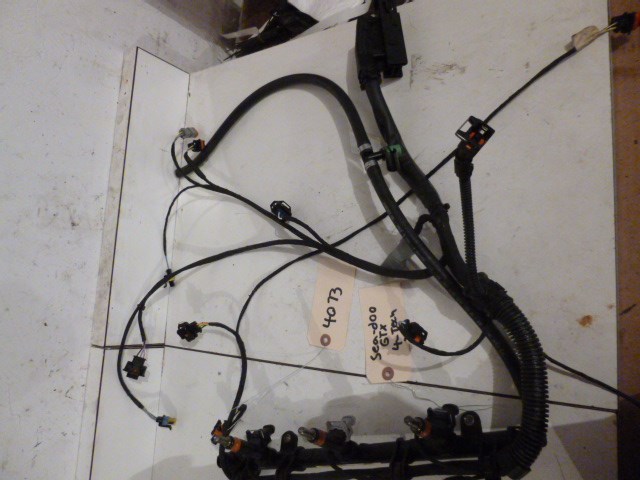 Sea-doo 4tec GTX 185hp Fuel Rail And harness FRESHWATER!