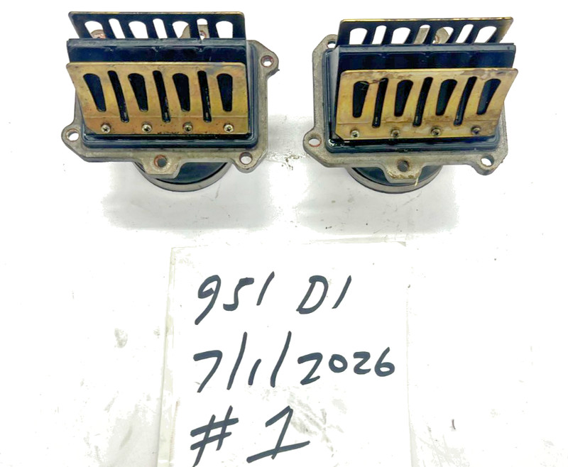 2003 Seadoo RX DI 951 XP GTX Intake Manifold Reeds
