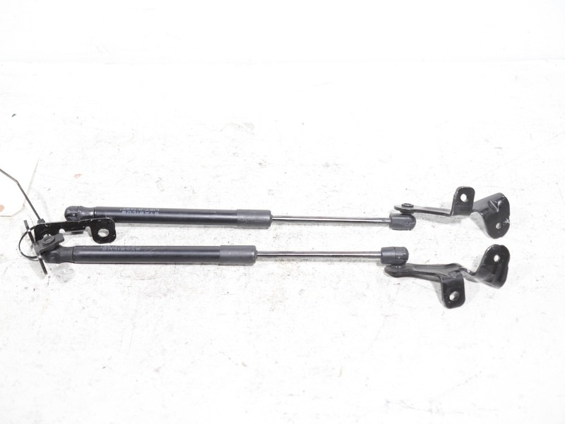 17-23 Tesla Model 3 RWD Left & Right Bonnet Hood Strut 1091472-00-B OEM 67K