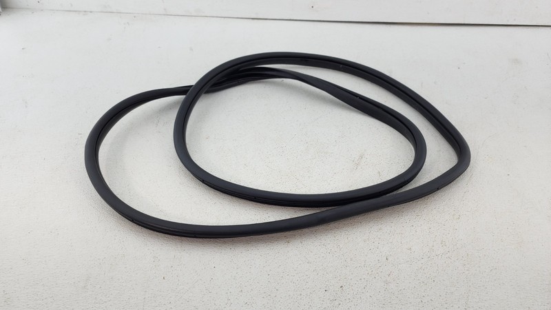 2019-2023 KIA FORTE Front LEFT Side DOORWAY WEATHERSTRIP SEAL OEM