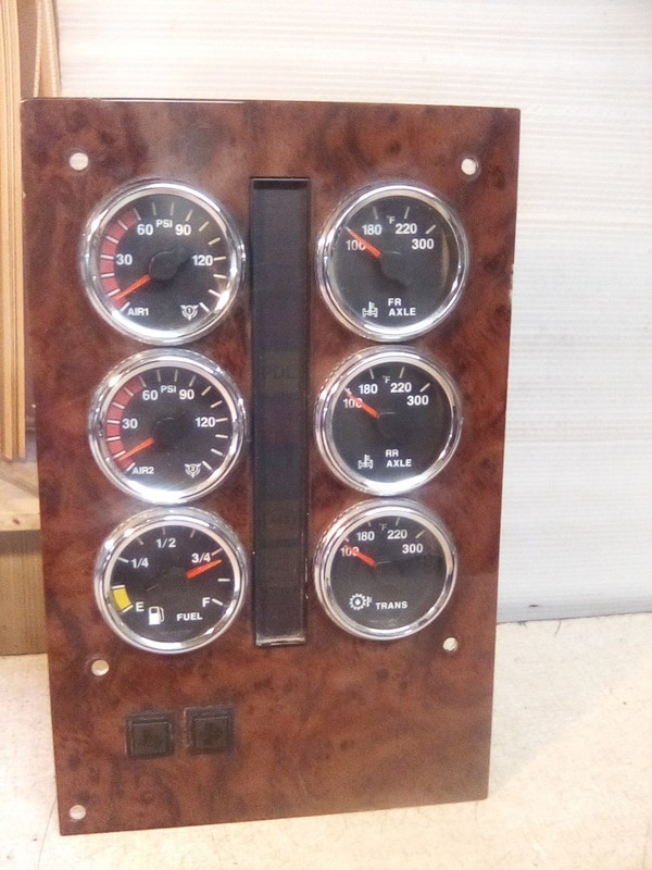 International 3665919C91 Instrument Gauge Cluster