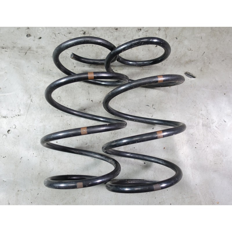BMW E46 3-Series E39 6-Cyl Front Axle Coil Suspension Spring Pair Left Right OEM