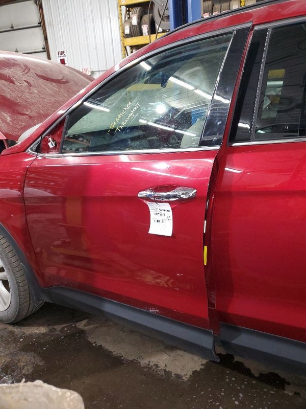 Driver Left Front Door LWB Fits 13-19 SANTA FE 293724
