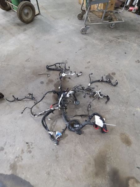 CARAVAN 2016 Engine Wire Harness 261078