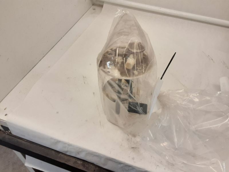 2005-2006-2007-2008 Pontiac Vibe fuel pump assembly