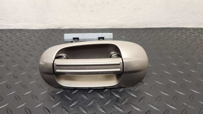 03-14 Ford Expedition Rear Left Driver Handle Biege (AQ) OEM 9L1Z-7826605-AA