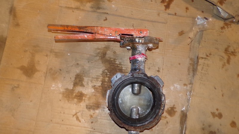 Mueller 451AHH61 Butterfly Valve*FREE SHIPPING*