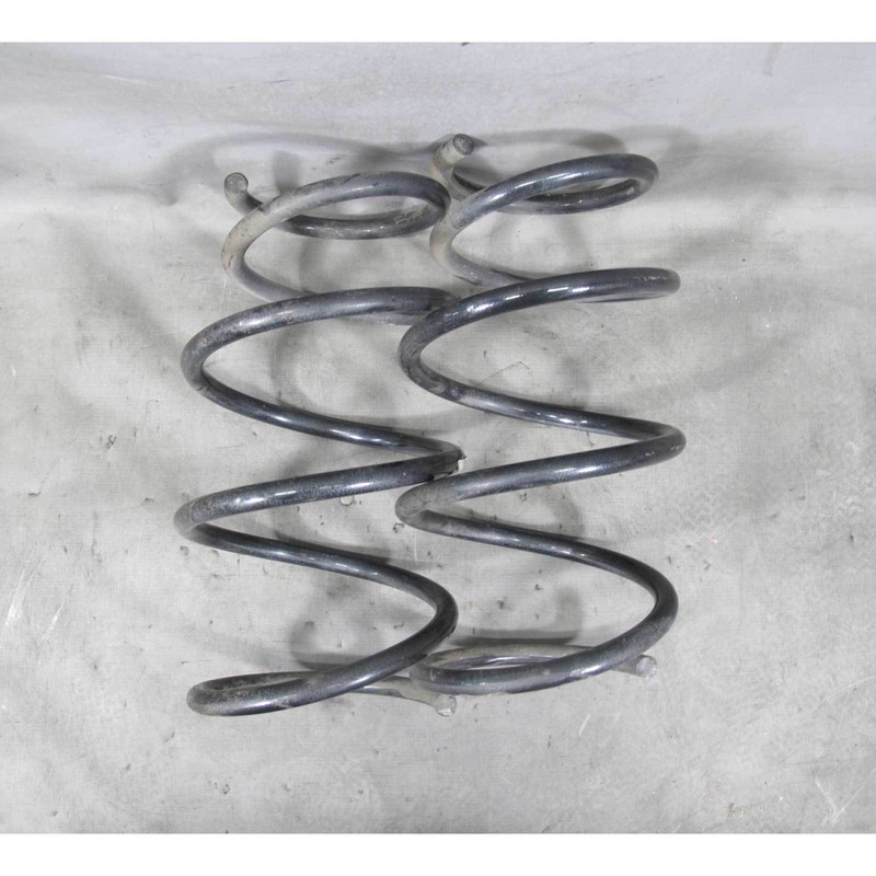 2007-2010 BMW E70 X5 SAV 3.0si Factory Front Axle Coil Spring Pair Left Right OE