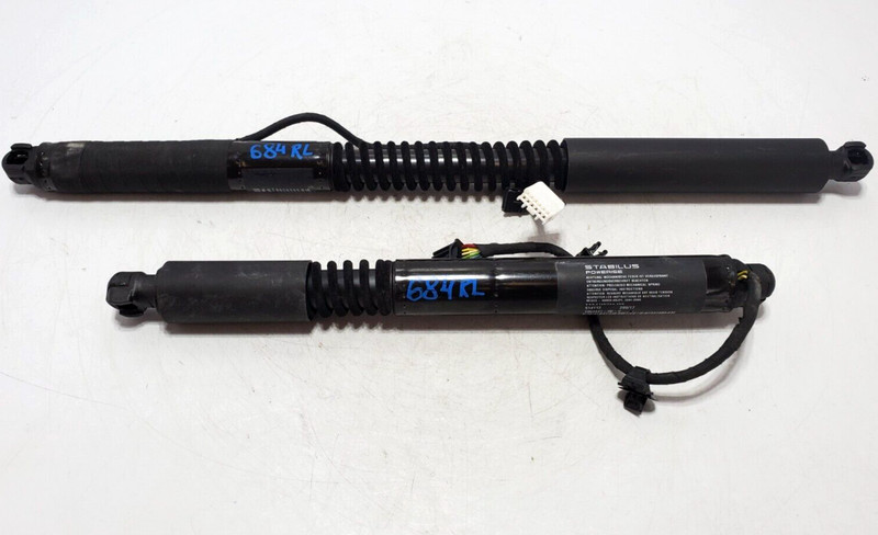 ✅ 2016-2020 OEM Tesla Model X Rear Left Driver Door Liftgate Strut Shock SET