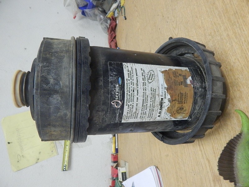AO Smith 7-184947-22 1081 Pool Pump 230/115V 288073M*FREE SHIPPING*
