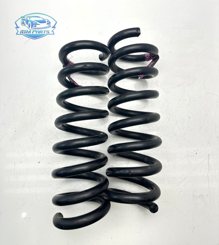 2015-2023 Dodge Charger Chrysler 300 Rear Coil Springs Set of 2 OEM 05168900AC
