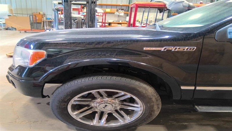 Driver Fender With Wheel Lip Moulding Fits 09-14 FORD F150 PICKUP 3574976