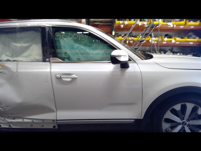 Passenger Front Door Tempered Glass Fits 20-22 TELLURIDE 1415916