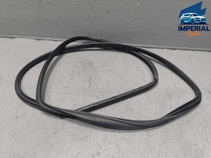 2019-2024 TOYOTA RAV4 REAR RIGHT PASSENGER SIDE DOOR BODY WEATHERSTRIP SEAL OEM