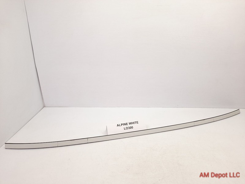 2002 BMW 330xi 330i 325i 325xi E46 Sedan Right Passenger Roof Molding White