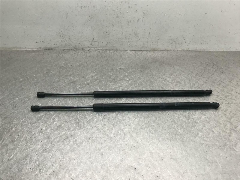 2009-2019 DODGE GRAND CARAVAN LIFT GATE STRUTS SHOCK SUPPORT PAIR OEM 4589655AD
