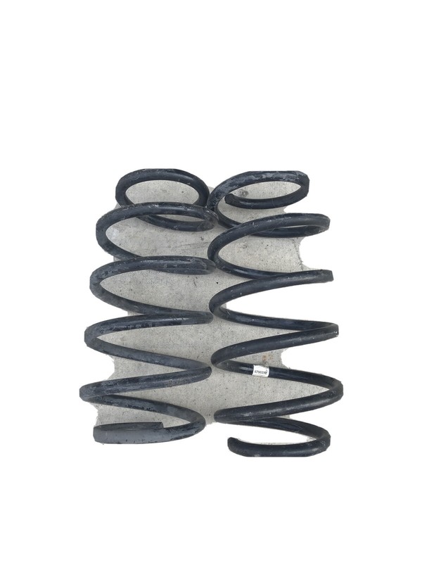 2000-2006 BMW E53 X5 Factory Front Axle Coil Spring Pair Left Right OEM