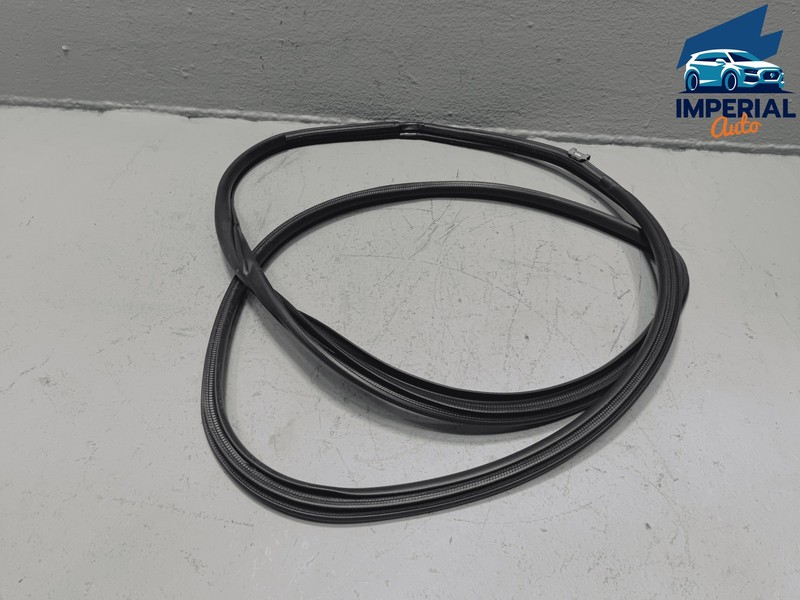 2018-2024 TOYOTA CAMRY REAR DRIVER SIDE DOOR BODY WEATHERSTRIP INNER SEAL OEM